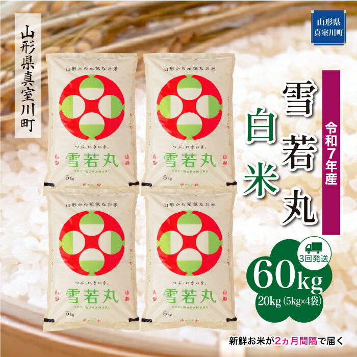 【ふるさと納税】 令和7年産 真室川町厳選 雪若丸 ［白米］ 60kg 定期便（20kg×3回お届け）