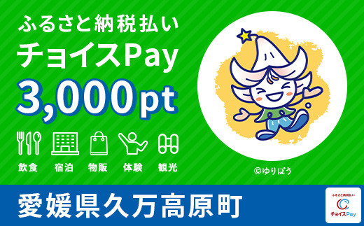 
久万高原町チョイスPay 3,000pt（1pt＝1円）【会員限定のお礼の品】
