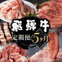 【ふるさと納税】飛騨牛 定期便 5か月 （ スライス すき焼き しゃぶしゃぶ 焼肉 牛串） 5回 定期便 お楽しみ 食べ比べ 牛肉 肉 お肉 和牛 人気 定期 [Q1675x]85000円