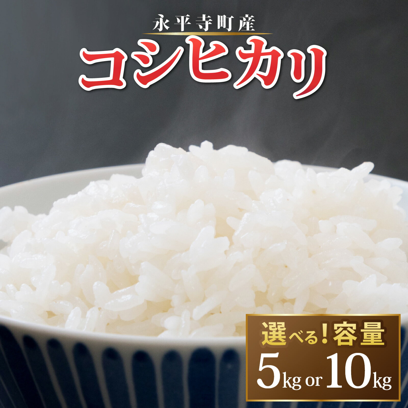 【ふるさと納税】【令和8年度産 新米先行予約】 【選べる内容量】 永平寺町産 コシヒカリ 白米 ｜こめ ごはん 精米 ご飯 お試し 白米 5kg 10kg 1回 単発
