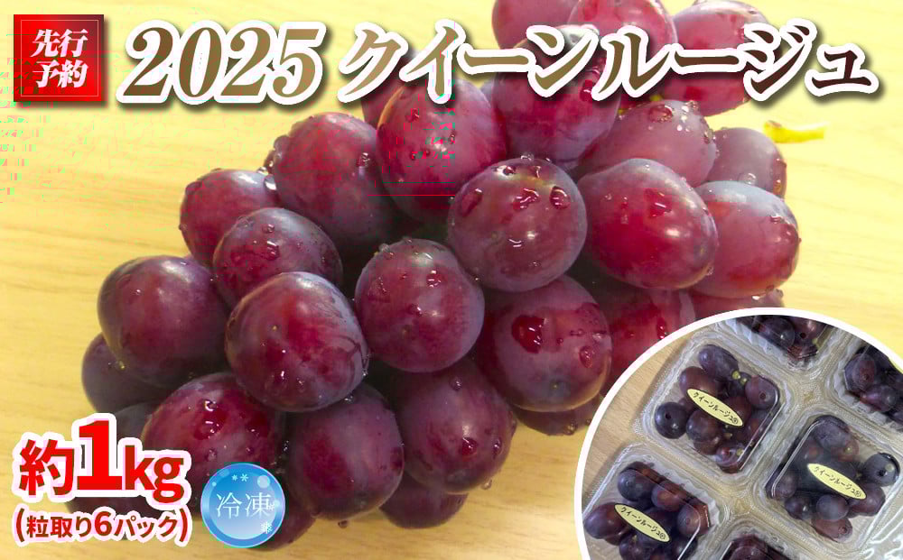 
            【先行予約】2025　P　クイーンルージュ®　冷凍粒採り6パック 　約1キロ　長野県産【10月中旬頃～順次発送予定】国際特許有機肥料栽培
          