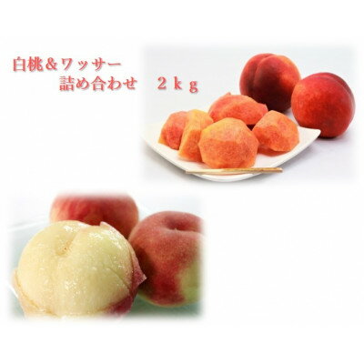 【ふるさと納税】白桃&ワッサー詰め合わせ　2kg【1632611】