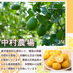 訳あり！有機JAS 甘夏(約10kg) 国産 果実 果物 フルーツ 柑橘 デザート 訳アリ 期間限定 有機栽培 【中村農場】akn084-07