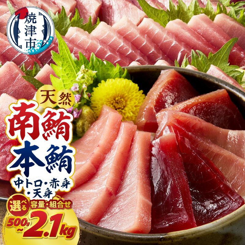 【ふるさと納税】 マグロ 南マグロ 本マグロ 天然 【選べるお届け時期/種類】 南鮪 本鮪 まぐろ 鮪 赤身 中トロ 訳あり 正規品 刺身 切り落とし 柵 700g 1.4kg 2.1kg 食べ比べ 540g 720g 1080g 天身 500g 魚 冷凍 贅沢 高評価 a15-719
