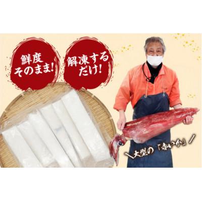 ふるさと納税 香美町 大型サイズ使用 超肉厚な赤イカむき身(お刺身用)約1kg入(冷凍) |  | 02