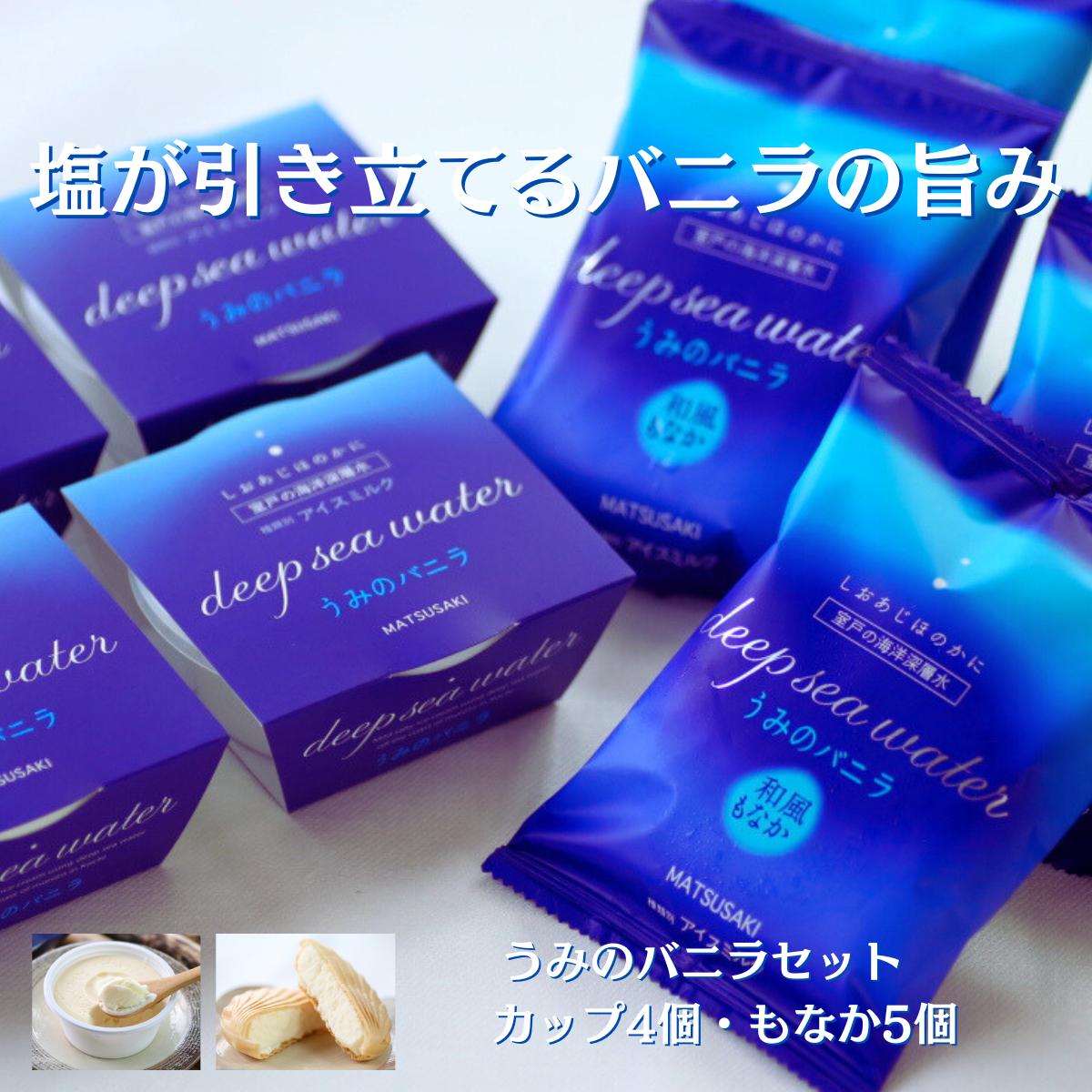 塩バニラアイス 9個（最中・カップ）室戸海洋深層水使用（高知アイス アイスクリーム ご当地アイス ご当地スイーツ 塩スイーツ 最中アイス カップアイス 詰合せ 詰め合わせ ギフト ふるさと納税）