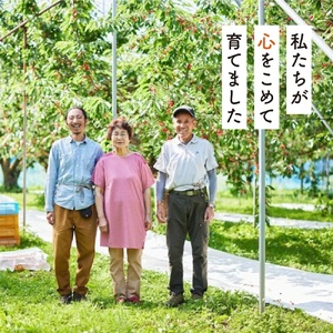 さくらんぼ（佐藤錦）１ｋｇ　0052-2604