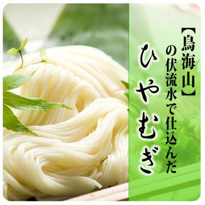 【ふるさと納税】ひやむぎ200g×10束（20人前 冷麦 冷や麦）　麺類 冷麦
