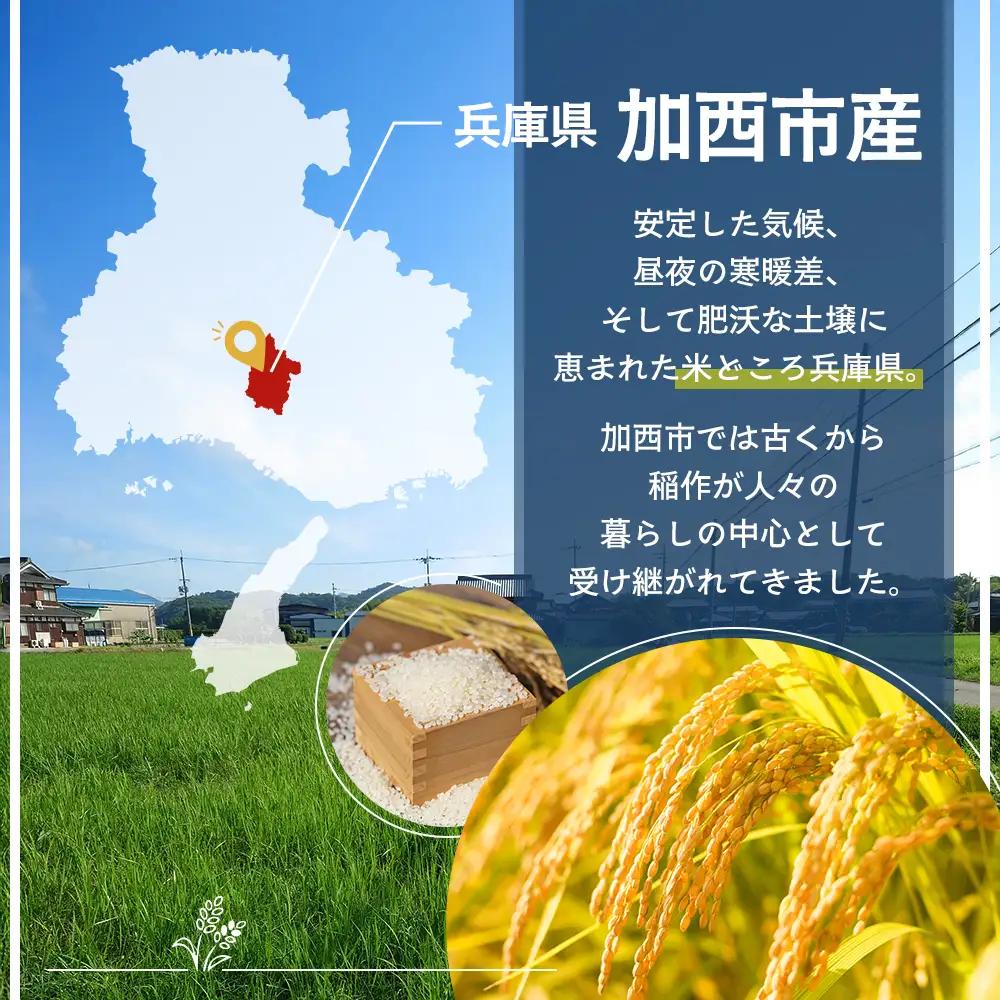 米 令和8年産 先行受付 しきゆたか 白米 5kg《2027年2月発送》 お米 精米 単一原料米 お弁当 おにぎり 冷めても美味しい 農業支援 就労者支援 日用品