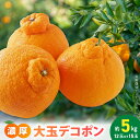 【ふるさと納税】【限定】 デコポン 約 5kg 大玉 12or15玉 おまかせ 不知火 ハウスデコポン 露地栽培 厳選 フルーツ 果物 柑橘 果実 ぷりっぷり 濃厚 甘味 国産 食品 食べ物 お取り寄せ 和歌山県 湯浅町 送料無料