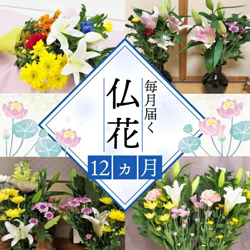 定期便  12回 仏花 お花  生花 組花 2束  |    