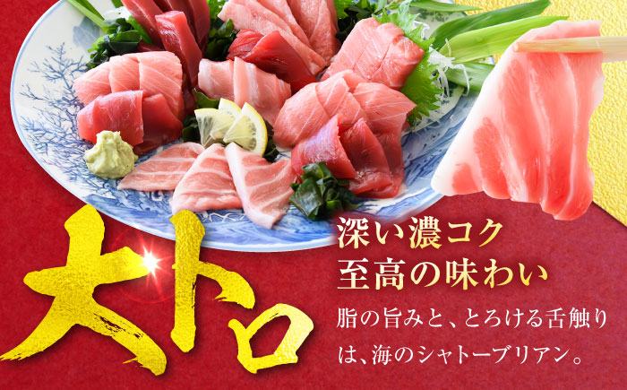 天然 本まぐろ大トロ＆中トロ 各2柵（計約900g）【横須賀商工会議所 おもてなしギフト事務局（本まぐろ直売所 横須賀本店）】 [AKAK110]