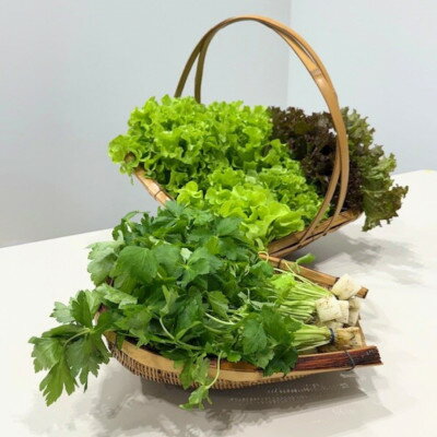 【ふるさと納税】新鮮しゃきしゃきレタスと香る三つ葉セット【配送不可地域：離島・北海道・沖縄県】【1675683】