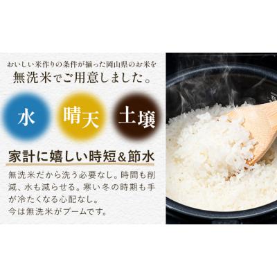 ふるさと納税 笠岡市 おかやま無洗米 メール便 4合《30日以内に出荷予定(土日祝除く)》岡山県 笠岡市 使い切り |  | 01