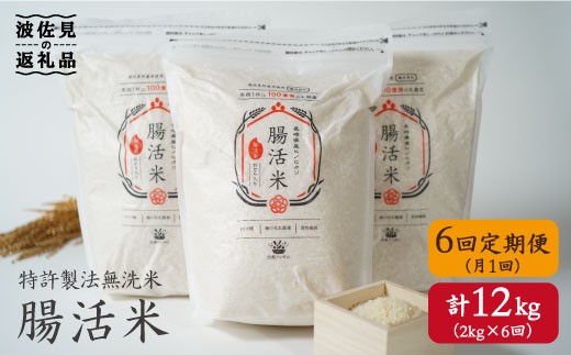 【6回定期便】特許製法の腸活米 2kg×6回 計12kg 無洗米
