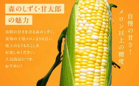 コーン 先行予約 とうもろこし 10～14本入り 産地直送 野菜 夏野菜 おやつ 夏 2026年