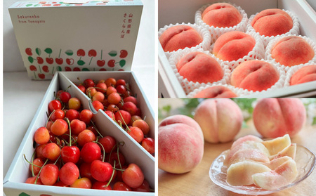 【定期便4回】やまがた美味しい果物 旬便り定期便【令和8年産先行予約】FS25-133