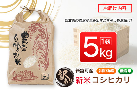 ＜訳あり＞【令和7年産 新米】コシヒカリ 5kg 無洗米 宮崎県産 新富町産 早期米 早場米 夏の新米 乾式【B679】