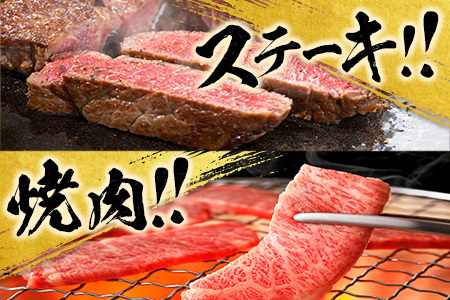 【令和7年12月から毎月配送】赤身肉の4か月定期便 数量限定 黒毛和牛 赤身 牛肉 お楽しみ 定期便 総重量1.7kg 肉 焼肉 ステーキ すき焼き しゃぶしゃぶ スライス ブロック 牛丼 赤身もも 