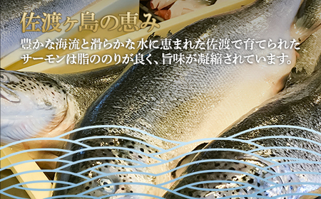 66-17美味極上　佐渡ゴールドサーモンの長岡越後味噌漬 8切入