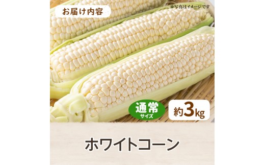 ＜先行予約！2027年6月上旬以降順次発送予定＞＜選べる容量＞ホワイトコーン(約3kg/通常品) 【man110-A】【Aglio nero】