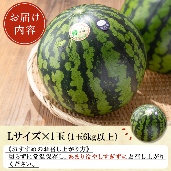 ＜選べる内容量！＞＜2025年7月中旬以降発送予定＞《期間限定》やごろうスイカ1個(L玉・1個6kg以上) 【曽於市観光協会】A484 【L玉（6kg以上）×2個】