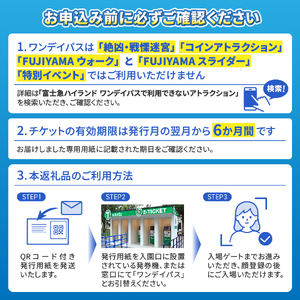 富士急ハイランド ワンデイパス ペアチケット【 遊園地 テーマパーク 富士吉田 】
