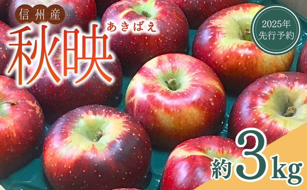 
            【2025年先行予約】りんご 秋映(長野県オリジナル品種) 太陽の恵みたっぷり 約3kg あきばえ 果物 フルーツ 長野県産 千曲市 信州
          