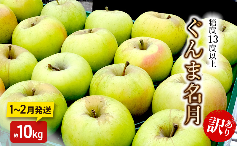 りんご【1～2月発送】糖度13度以上 訳あり 家庭用 ぐんま名月 約10kg【青森りんご】