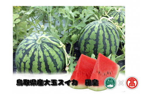 鳥取県産大玉スイカ　羅皇（らおう）（大山ブランド会）すいか フルーツ 果物 受付6月末迄 期間限定 米子高島屋 27-DM1 0935
