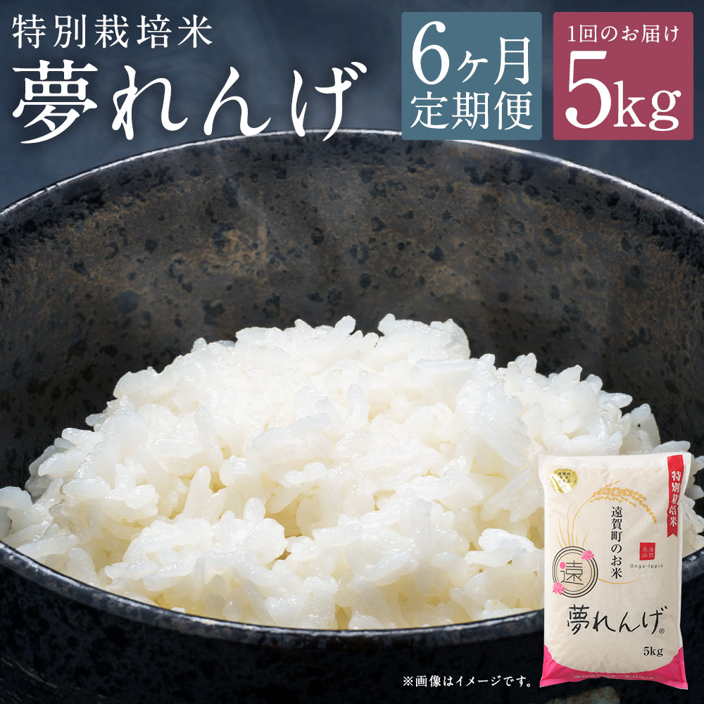 【ふるさと納税】【6ヶ月定期便】特別栽培米 夢れんげ 5kg×1袋 6回配送 合計30kg 定期便 夢つくし 元気つくし 精米 白米 お米 米 福岡 遠賀町産 九州産 国産 送料無料