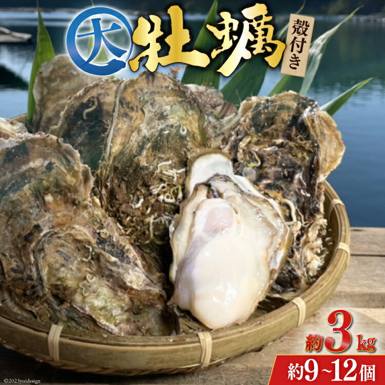 【ふるさと納税】 【期間限定発送】 TVで紹介！ 牡蠣 大粒 3〜4年モノ 生食 殻付き牡蠣 約3kg(約9-12個入) [住喜水産 宮城県 気仙沼市 20564160] 期間限定 冷蔵 新鮮 濃厚 真牡蠣 カキ かき 生牡蠣 魚貝類 生牡蠣 貝 海鮮 魚介類 なべ カキフライ