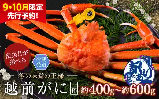 【2026年3月発送・月指定可】【先行予約 9月10月限定】越前がに（オス）「ずわいがに」（400g～600g） 訳あり 1杯