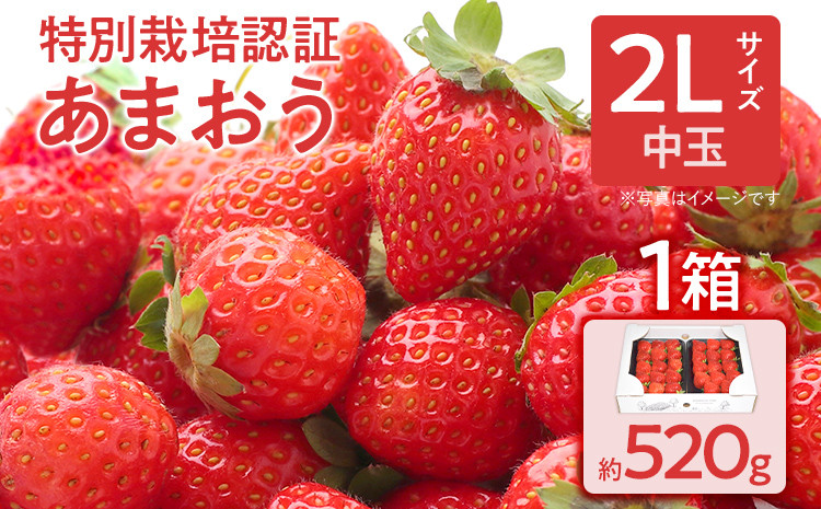 
特別栽培認証あまおう 2Lサイズ 1箱セット あまおう イチゴ 苺 いちご フルーツ 果物 くだもの 福岡県産 お取り寄せグルメ お取り寄せ 福岡 お土産 九州 福岡土産 取り寄せ グルメ 福岡県
