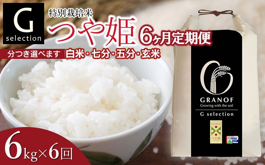 
            【令和7年産先行予約】【定期便6ヶ月】 特別栽培米 Gセレクション つや姫 精米 6kg (6kg×1袋)×6ヶ月 山形県鶴岡市産　株式会社グラノフ
          