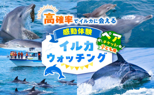 南島原 イルカウォッチング  子ども用 ペアチケット / チケット ちけっと 体験型 観光チケット いるか イルカ イルカ体験 貸し切り いるか イルカ / 南島原市 / 南島原イルカウォッチング [SAE004]