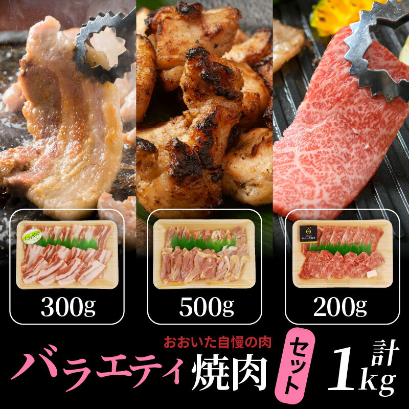 【ふるさと納税】【A4～A5等級】バラエティー焼肉セット