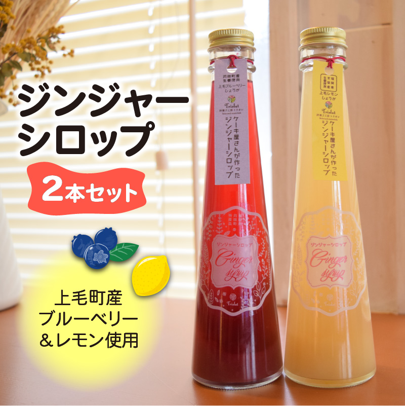 【上毛町産ブルーベリー＆レモン使用】ジンジャーシロップ 2本セット　KT0302