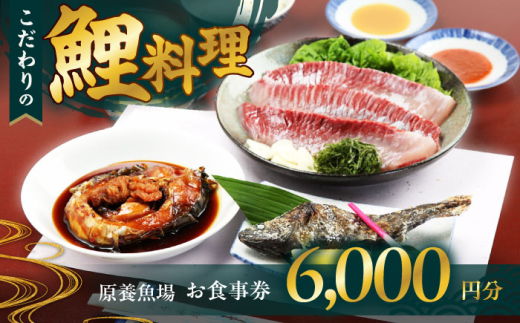 原養魚場 食事券 6,000円分 旅行 チケット ランチ ディナー レストラン ギフト 旅行 食事券 チケット レストラン ランチ ディナー 川魚 ギフト プレゼント 大阪府高槻市/株式会社原養魚場 [AOEA002] 川魚料理 食事チケット ランチ券 ディナー券 レストラン体験 贈答用 プレゼント ギフト券 お取り寄せ 家族向け カップル向け 記念日用 食事プラン 外食 お祝い 大阪グルメ 体験
