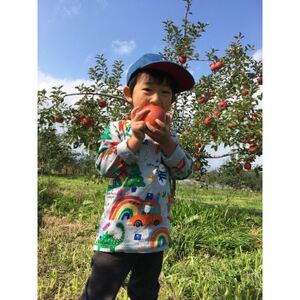 シャキシャキッ!完熟サンふじ 贈答用 約5kg【1558028】