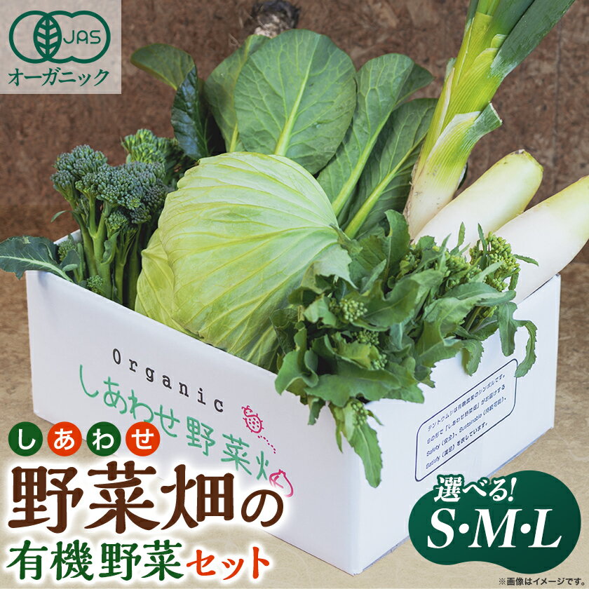 【ふるさと納税】しあわせ野菜畑の有機野菜　 (Lセット、Mセット、Sセット)【配送不可地域：離島・北海道・沖縄県・四国・九州】【G1493216】