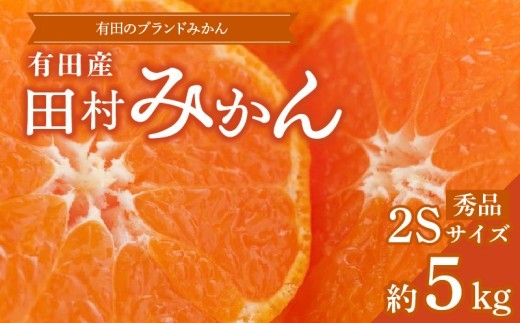 
                  【ふるさと納税】【限定】【2026年先行予約】ブランドみかん 田村みかん 約 5kg 2Sサイズ 秀品 甘みと酸味のバランス 濃厚 フルーツ 柑橘 果物 果実 温州みかん 有田みかん 高級みかん 有田 みかん 食品 国産 産地直送 お取り寄せ 和歌山県 湯浅町 送料無料_ZD7026
                