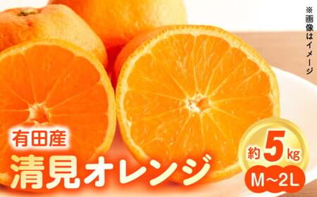 【2027年先行予約】和歌山県有田産 完熟 清見オレンジ 5kg ひとつひとつ丁寧に厳選！生産者から直送【清見 みかん オレンジ タンゴール きよみ 柑橘 和歌山 有田】_ZN6001n