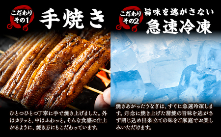 九州産 うなぎきざみ 12個《30日以内に出荷予定(土日祝除く)》ウナギ 鰻 送料無料 刻みうなぎ 刻み鰻 ボイル 九州 熊本 熊本県 御船町