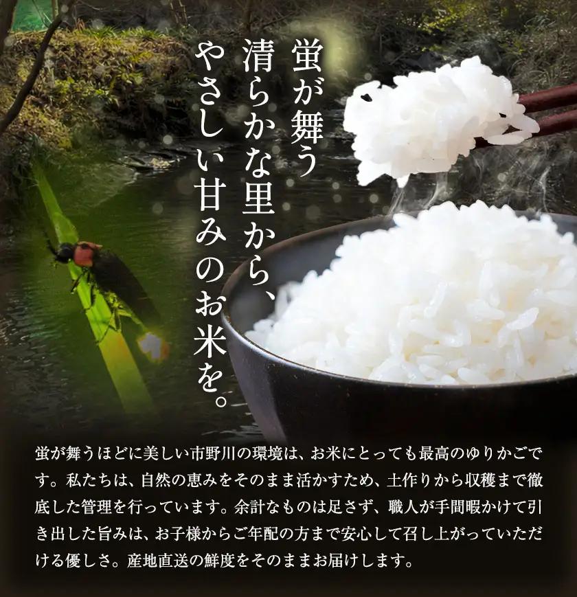 令和7年産 千葉県銘柄米 3種 食べ比べ 450g × 3種 1350g 市野川米製作所 