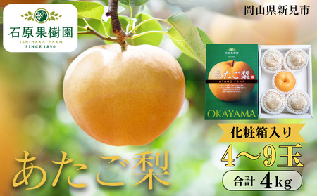 あたご梨 4～9玉 約4kg 化粧箱【先行予約 2025年11月中旬から順次発送】
