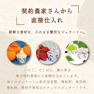 ジェラート 詰め合わせ 和の極 12個 120ml 川島ジェラート アイスクリーム アイス
