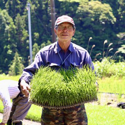 ふるさと納税 いの町 上東産　仁淀米　香り米なし【2026年11月上旬頃から発送】 |  | 01