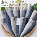 【ふるさと納税】大きくて脂ののった国産塩さば 150g×10枚(合計1.5kg) おかず ギフト 「2025年 令和7年」