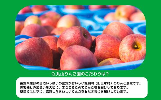 りんご サンふじ 家庭用 ( 小玉 ) 5kg 丸山りんご園 沖縄県への配送不可 2024年12月中旬頃から12月下旬頃まで順次発送予定 令和げ6年度収穫分 信州 果物 フルーツ リンゴ 林檎 長野 